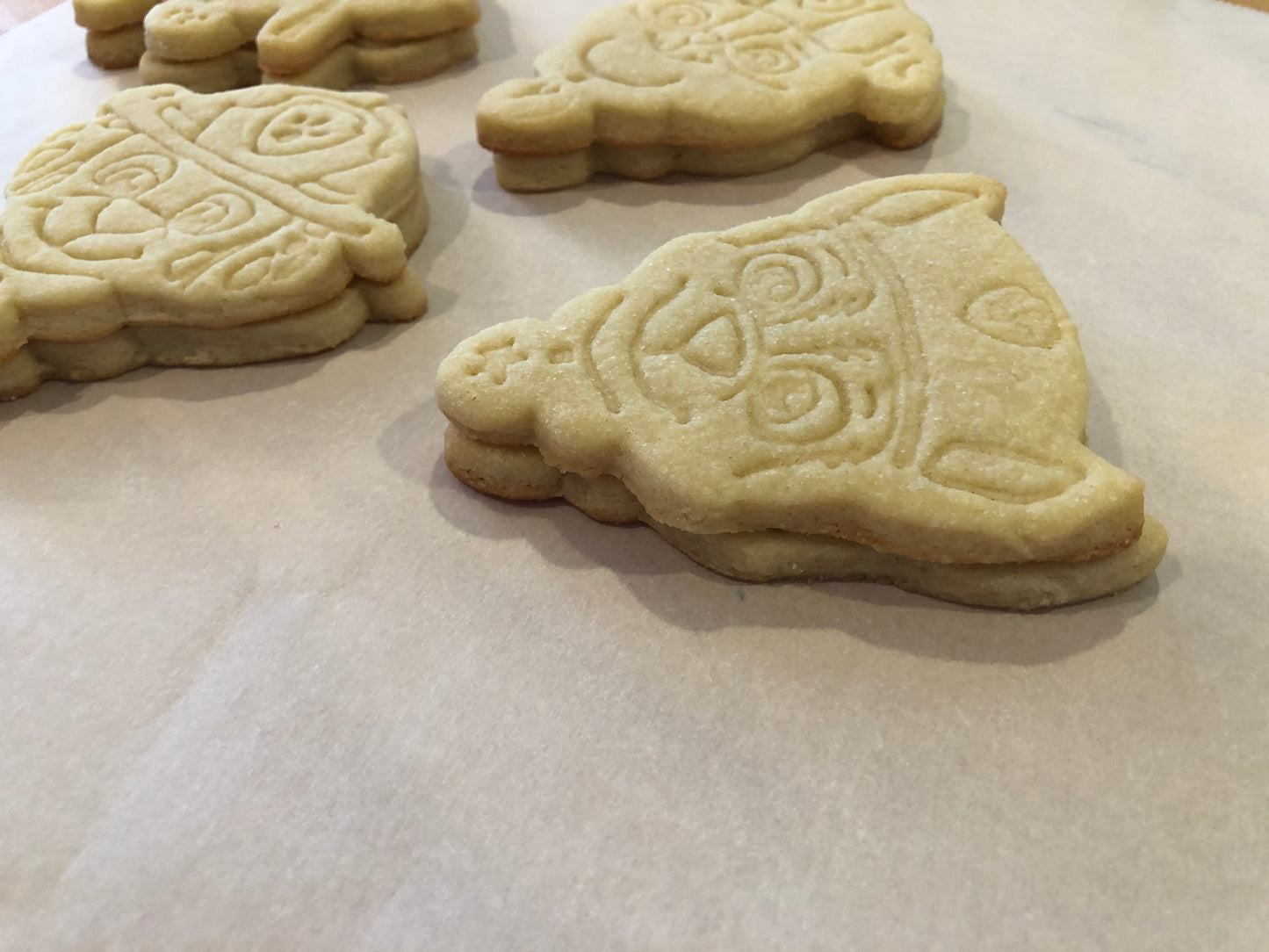 Paw Patrol Sugar Cookie Decorating Kit