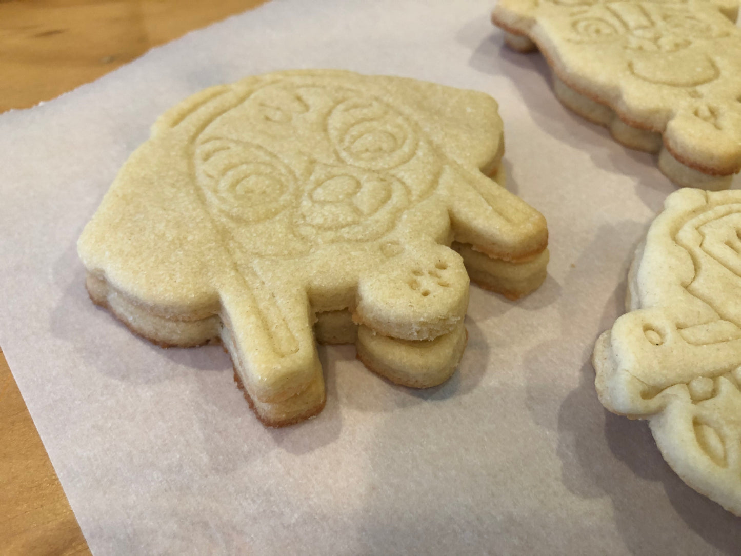 Paw Patrol Sugar Cookie Decorating Kit