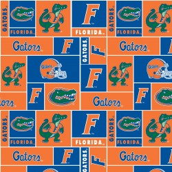 NCAA FL fabric by the yard | 100% Minky | Sykel Enterprises NCAA fabric #1241